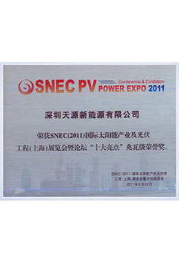 SNEC国际太阳能产业及光伏工程（上海）展览会-“十大亮点”金奖