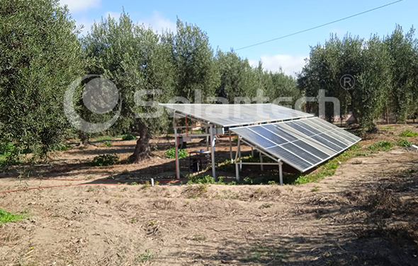 深圳天源太阳能精准灌溉系统应用于智利油橄榄种植园
