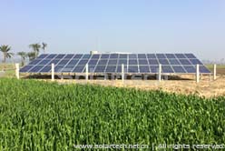 孟加拉村庄太阳能水泵灌溉项目