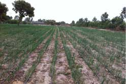 农业光伏灌溉系统