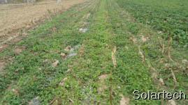 农业太阳能扬水节水灌溉